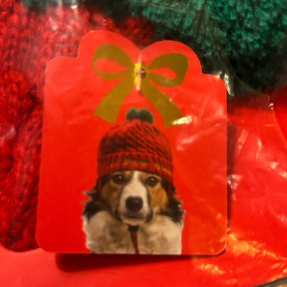 Hallmark Pets Knit Human Pet Red Matching Beanie Hat Set 2 Pieces Pom Pom - Picture 4 of 7